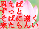 v΂Ƃ΂ɉ֗񂢂邾