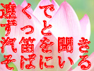 łƋDJ𕷂Ȃ炻΂ɂ