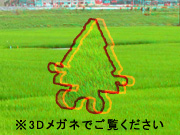 3DA[g