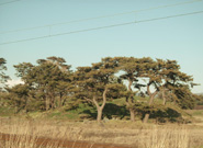 \㓇