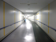 Hcn