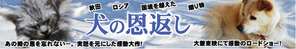 ̉Ԃ