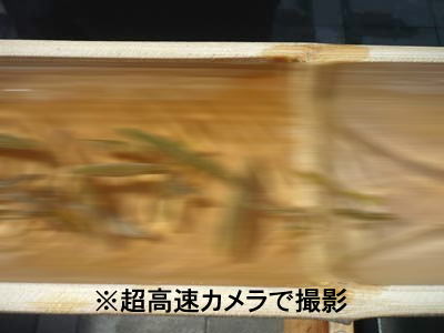 񂳂