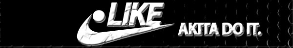 like akita do it
