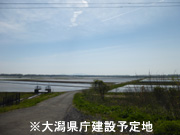 劃ݗ\n